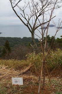 q-IMG_3688.jpg